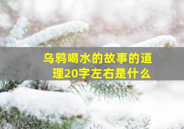 乌鸦喝水的故事的道理20字左右是什么