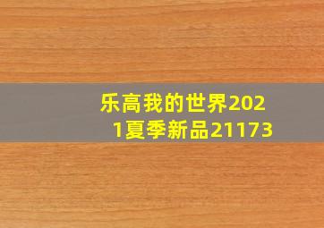 乐高我的世界2021夏季新品21173