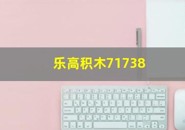 乐高积木71738