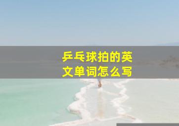 乒乓球拍的英文单词怎么写