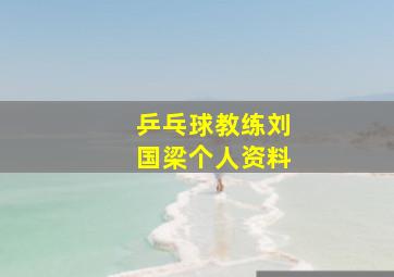 乒乓球教练刘国梁个人资料