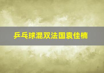 乒乓球混双法国袁佳楠