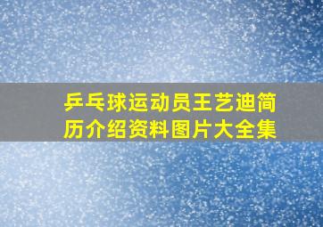 乒乓球运动员王艺迪简历介绍资料图片大全集