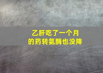 乙肝吃了一个月的药转氨酶也没降