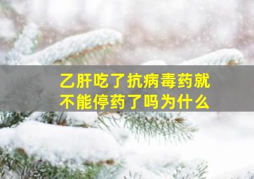 乙肝吃了抗病毒药就不能停药了吗为什么