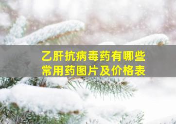 乙肝抗病毒药有哪些常用药图片及价格表