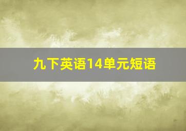 九下英语14单元短语