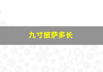 九寸披萨多长