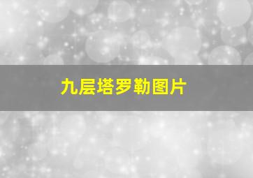 九层塔罗勒图片