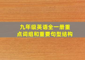 九年级英语全一册重点词组和重要句型结构