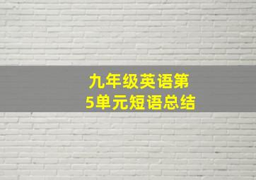 九年级英语第5单元短语总结