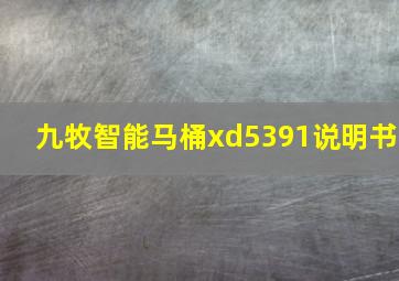 九牧智能马桶xd5391说明书