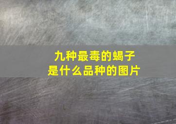 九种最毒的蝎子是什么品种的图片