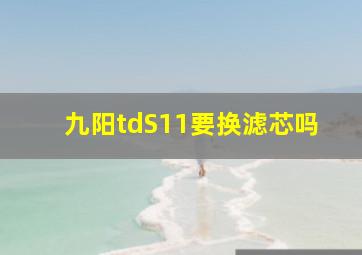 九阳tdS11要换滤芯吗