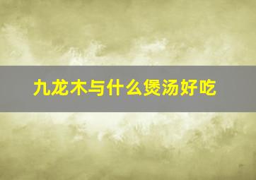 九龙木与什么煲汤好吃