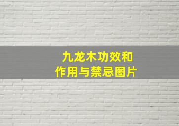 九龙木功效和作用与禁忌图片