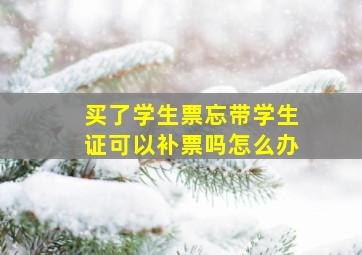 买了学生票忘带学生证可以补票吗怎么办