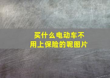 买什么电动车不用上保险的呢图片