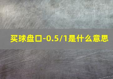 买球盘口-0.5/1是什么意思