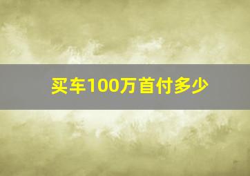 买车100万首付多少