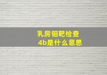 乳房钼靶检查4b是什么意思