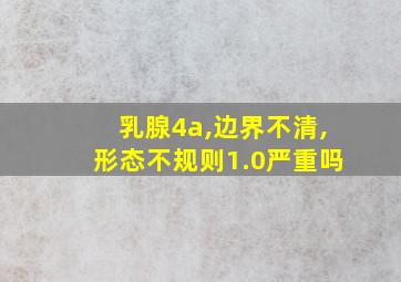 乳腺4a,边界不清,形态不规则1.0严重吗