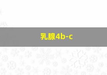 乳腺4b-c