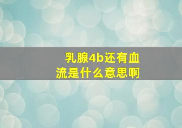 乳腺4b还有血流是什么意思啊