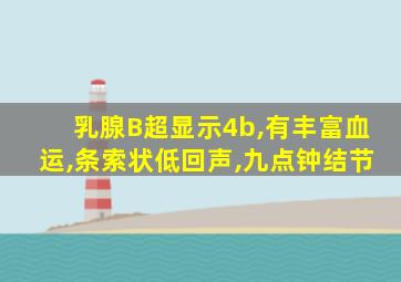 乳腺B超显示4b,有丰富血运,条索状低回声,九点钟结节