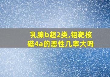 乳腺b超2类,钼靶核磁4a的恶性几率大吗