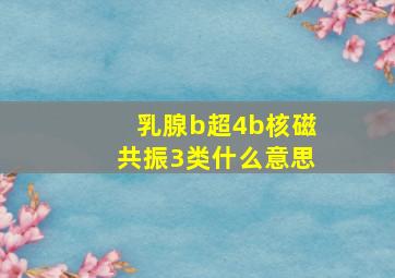 乳腺b超4b核磁共振3类什么意思