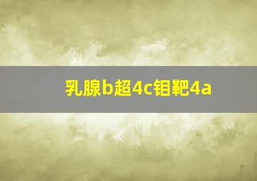 乳腺b超4c钼靶4a