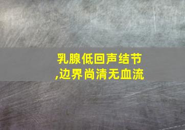 乳腺低回声结节,边界尚清无血流