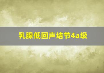 乳腺低回声结节4a级