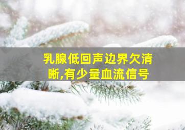 乳腺低回声边界欠清晰,有少量血流信号