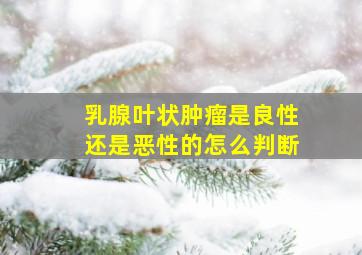 乳腺叶状肿瘤是良性还是恶性的怎么判断