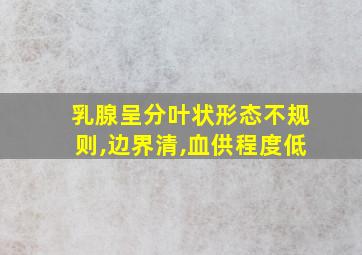 乳腺呈分叶状形态不规则,边界清,血供程度低