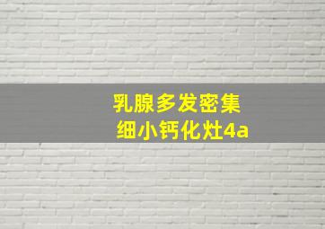 乳腺多发密集细小钙化灶4a