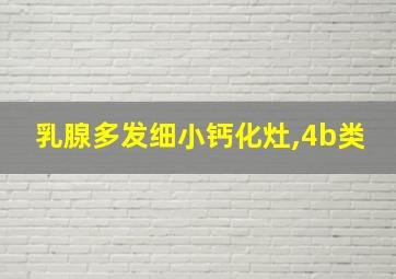 乳腺多发细小钙化灶,4b类