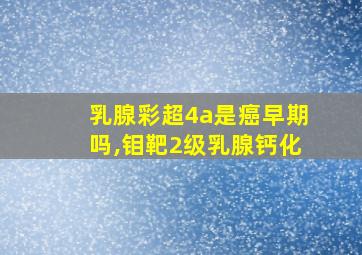 乳腺彩超4a是癌早期吗,钼靶2级乳腺钙化