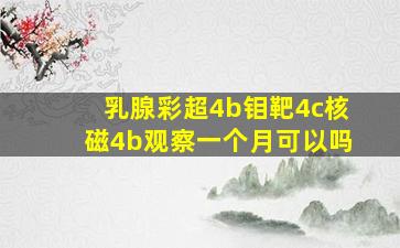 乳腺彩超4b钼靶4c核磁4b观察一个月可以吗