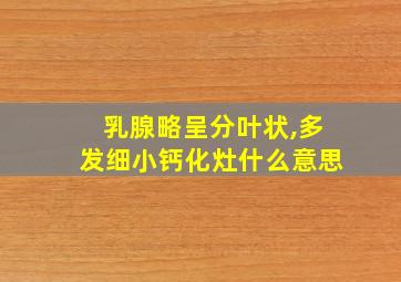 乳腺略呈分叶状,多发细小钙化灶什么意思