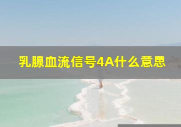 乳腺血流信号4A什么意思