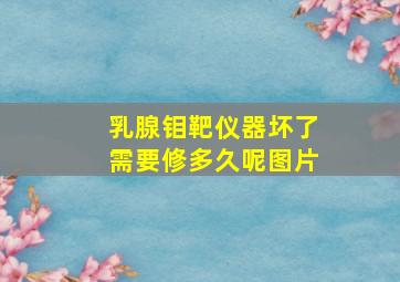 乳腺钼靶仪器坏了需要修多久呢图片