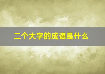 二个大字的成语是什么