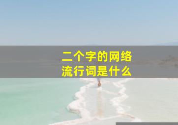 二个字的网络流行词是什么