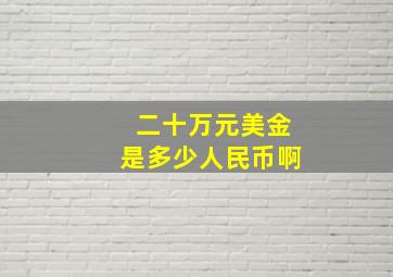 二十万元美金是多少人民币啊