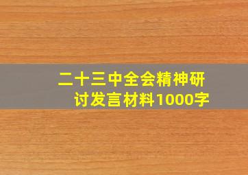 二十三中全会精神研讨发言材料1000字