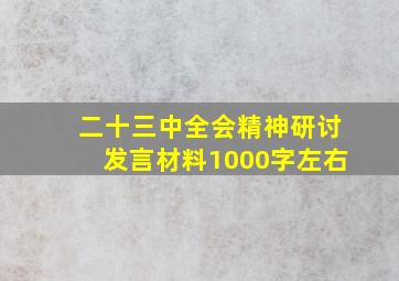 二十三中全会精神研讨发言材料1000字左右