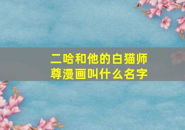 二哈和他的白猫师尊漫画叫什么名字